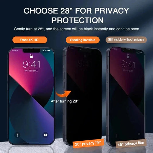 Privacy Plus iPhone Protector